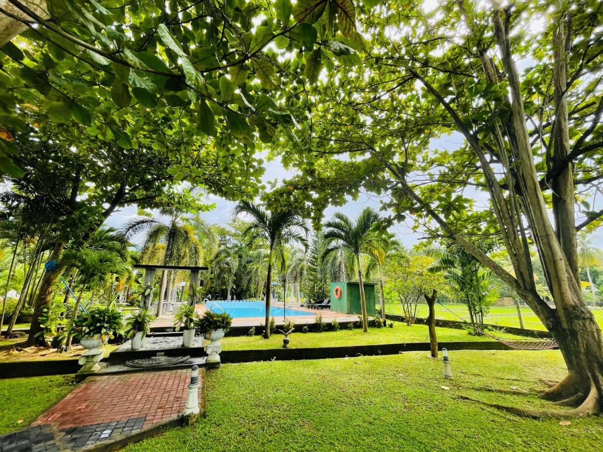 Tishan Holiday Resort Polonnaruwa Eksteriør bilde