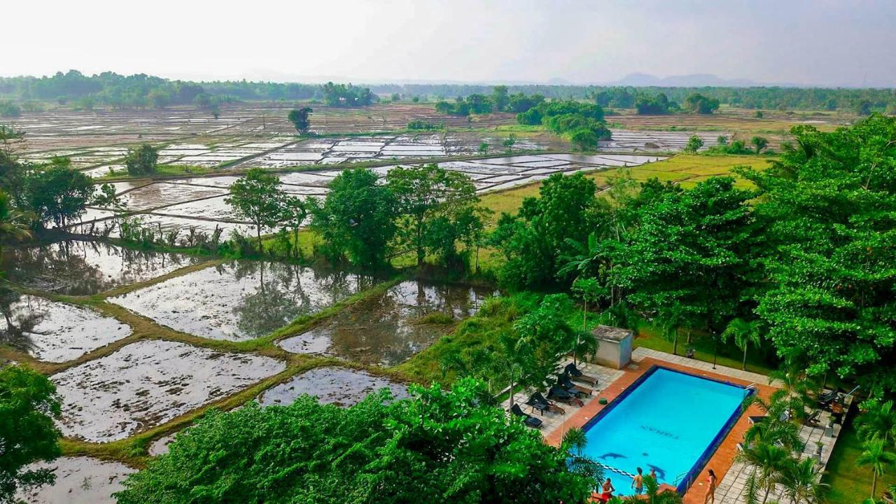 Tishan Holiday Resort Polonnaruwa Eksteriør bilde